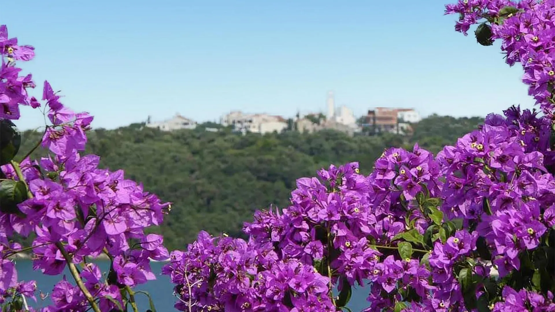 Amazing Apartment In Pula With House Sea View
